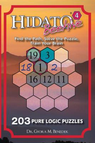 Buch Hidato Beehive 4: 203 New Logic Puzzles Dr Gyora M Benedek