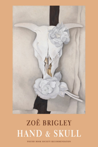 Buch Hand & Skull Zo? Brigley