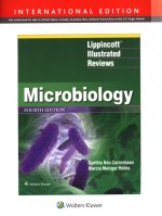 Könyv Lippincott (R) Illustrated Reviews: Microbiology Cynthia  Nau Cornelissen