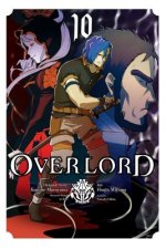 Carte Overlord, Vol. 10 Kugane Maruyama