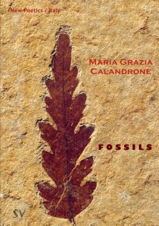 Kniha Fossils Maria Grazia Calandrone