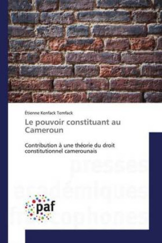 Книга pouvoir constituant au Cameroun Étienne Kenfack Temfack