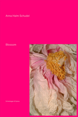 Buch Blossom Anna Halm Schudel