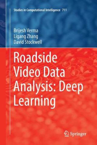 Knjiga Roadside Video Data Analysis Brijesh Verma