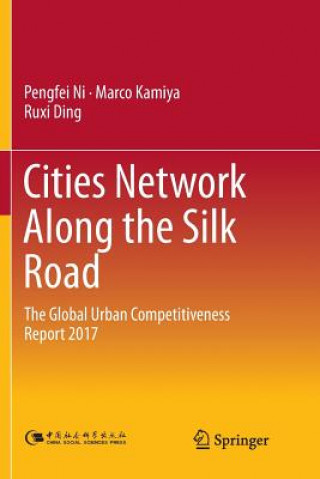 Book Cities Network Along the Silk Road Pengfei Ni