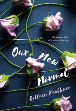 Book Our New Normal Colleen Faulkner