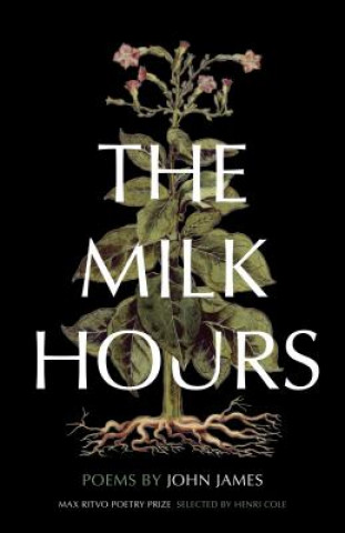 Könyv Milk Hours John James
