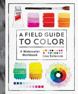 Kniha Field Guide to Color Lisa Solomon