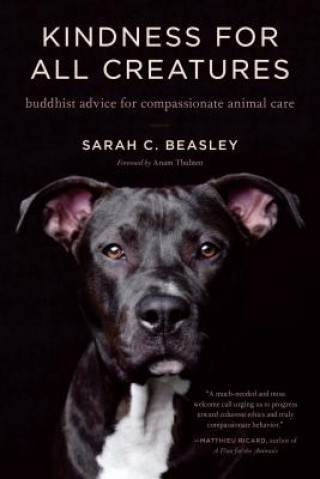 Carte Kindness for All Creatures Sarah C. Beasley