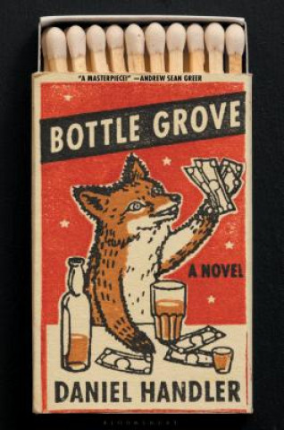 Kniha Bottle Grove Lemony Snicket
