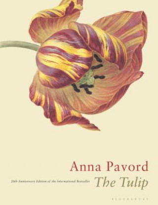 Kniha The Tulip: Twentieth Anniversary Edition Anna Pavord
