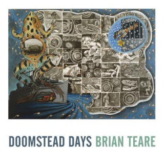 Kniha Doomstead Days Brian Teare