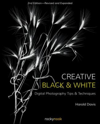 Kniha Creative Black and White Harold Davis