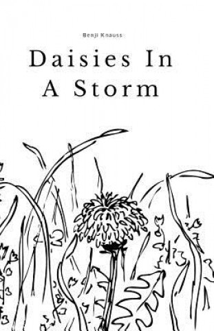 Könyv Daisies In A Storm: A Short Story Collection Benji Knauss