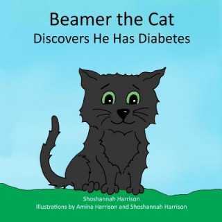 Carte Beamer the Cat: Discovers He Has Diabetes Amina Harrison