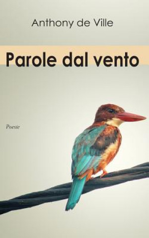 Książka Parole Dal Vento Anthony de Ville