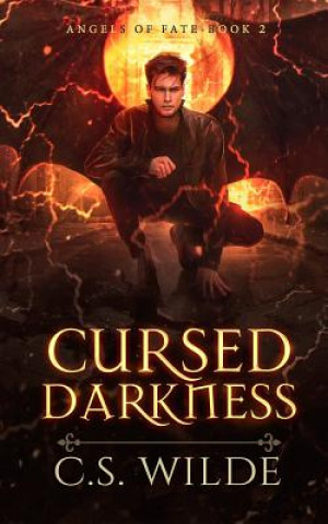 Knjiga Cursed Darkness C S Wilde