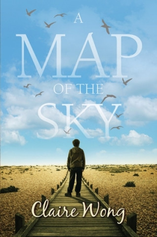 Carte Map of the Sky Claire Wong