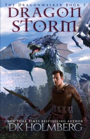 Book Dragon Storm D. K. Holmberg