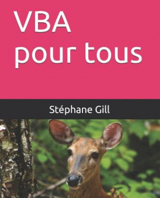 Kniha VBA Pour Tous St Gill