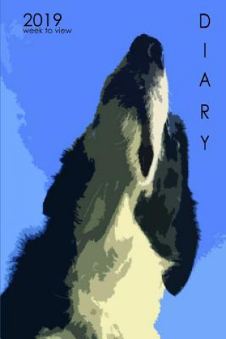 Książka 2019 Diary Week to View: Dog Lovers Border Collie Portrait Design P. M. Peters