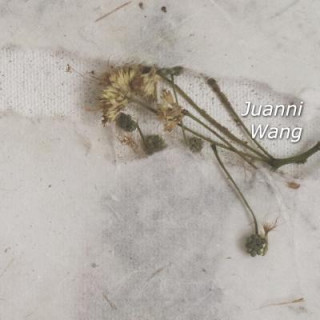Boek Juanni Wang: Catalogo 2018 Laura Giovanna Bevione
