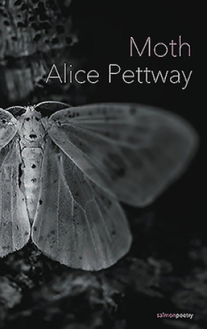 Knjiga Moth Alice Pettway