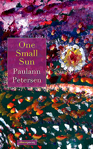 Knjiga One Small Sun Paulann Peterson