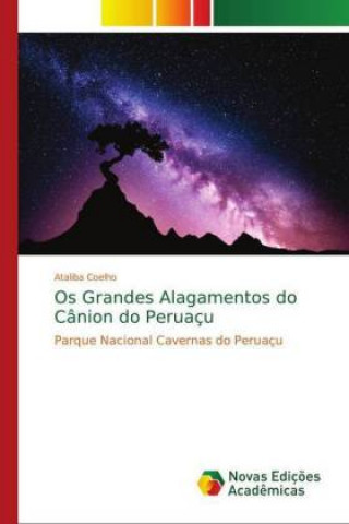 Knjiga Os Grandes Alagamentos do Canion do Peruacu Ataliba Coelho