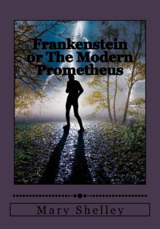 Könyv Frankenstein or The Modern Prometheus Mary Wollstonecraft Shelley