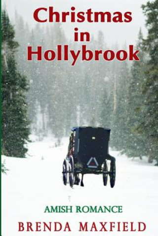 Kniha Christmas in Hollybrook: Amish Romance Brenda Maxfield