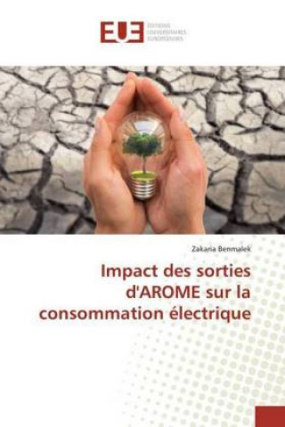 Carte Impact des sorties d'AROME sur la consommation électrique Zakaria Benmalek