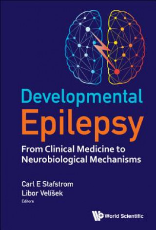 Carte Developmental Epilepsy: From Clinical Medicine To Neurobiological Mechanisms Carl E. Stafstrom