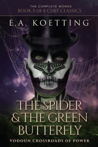 Książka Spider & The Green Butterfly Timothy Donaghue