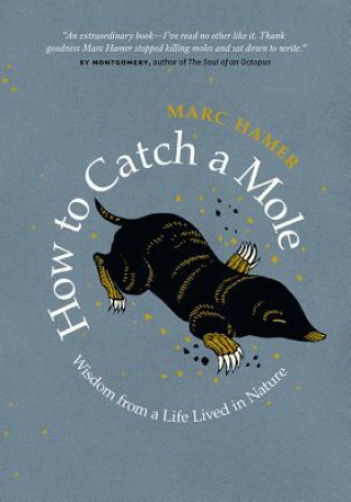 Kniha How to Catch a Mole: Wisdom from a Life Lived in Nature Marc Hamer