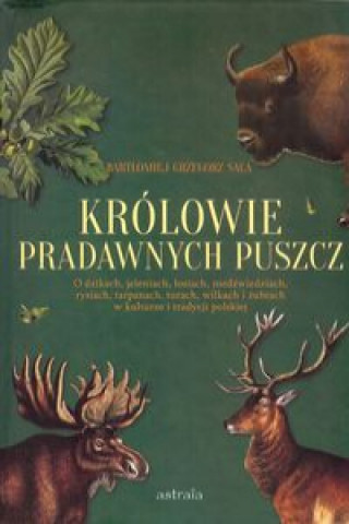 Kniha Królowie pradawnych puszcz Sala Bartłomiej Grzegorz