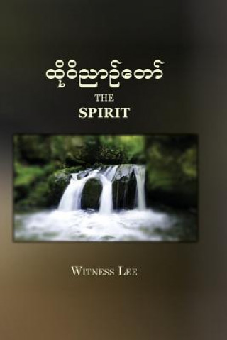 Kniha The Spirit Witness Lee