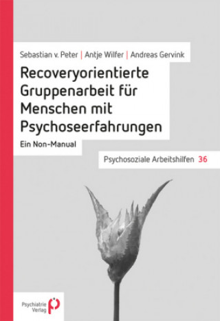 Kniha Recoveryorientierte Gruppenarbeit für Menschen mit Psychoseerfahrungen Sebastian von Peter