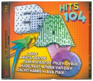 Audio Bravo Hits,Vol.104 Various