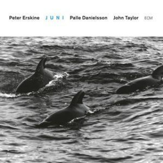 Audio Juni (Touchstones) Peter Erskine
