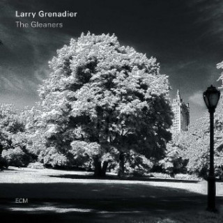 Zvok The Gleaners Larry Grenadier
