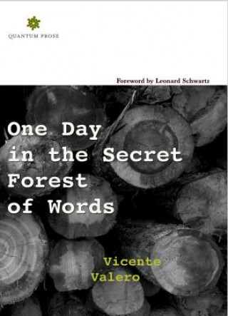 Książka One Day in the Secret Forest of Words VICENTE VALERO