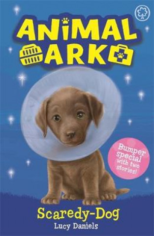 Kniha Animal Ark, New 2: Scaredy-Dog Lucy Daniels