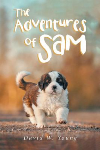 Книга Adventures of Sam David W Young