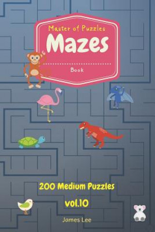 Könyv Master of Puzzles - Mazes Book 200 Medium Puzzles Vol.10 James Lee