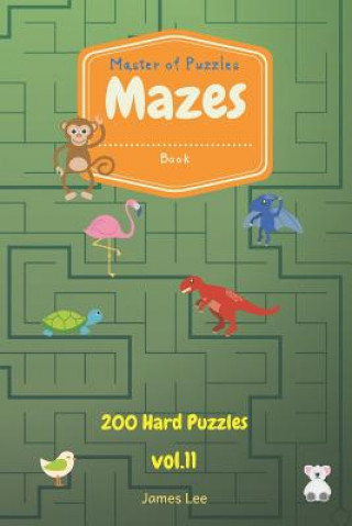 Kniha Master of Puzzles - Mazes Book 200 Hard Puzzles Vol.11 James Lee