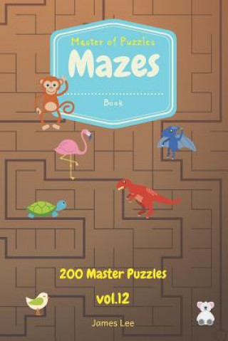 Kniha Master of Puzzles - Mazes Book 200 Master Puzzles Vol.12 James Lee