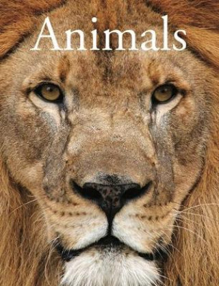 Könyv Animals David Alderton