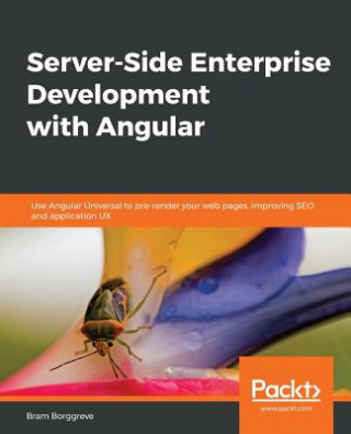 Kniha Server-Side Enterprise Development with Angular Bram Borggreve
