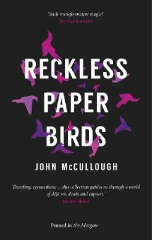 Knjiga Reckless Paper Birds John McCullough